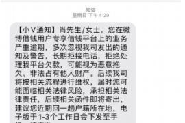 王铁珊的讨债子:揭秘债务追收背后的故事 王铁珊的讨债子:揭秘债务追收背后的故事